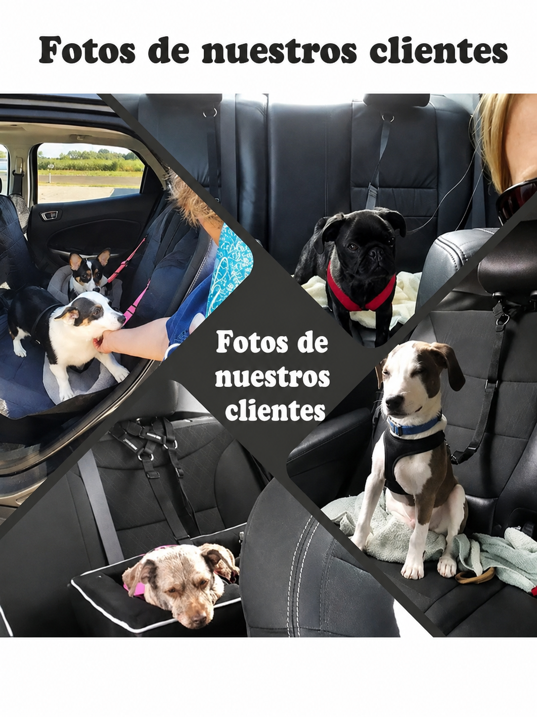Viaja Seguro con tu Mascota – Cinturón 360º Ajustable