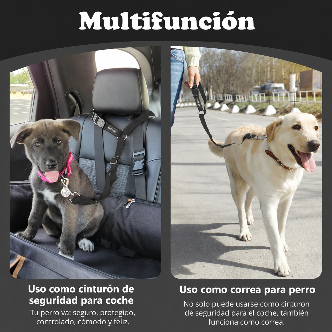 Viaja Seguro con tu Mascota – Cinturón 360º Ajustable