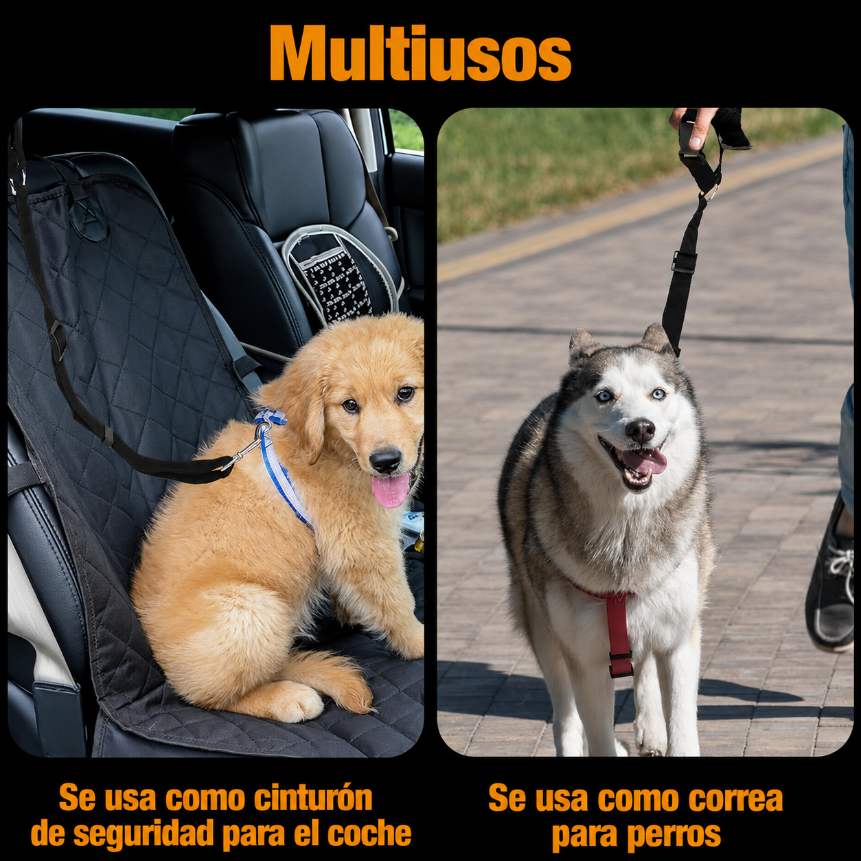 Viaja Seguro con tu Mascota – Cinturón 360º Ajustable